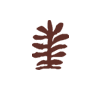 icon-01