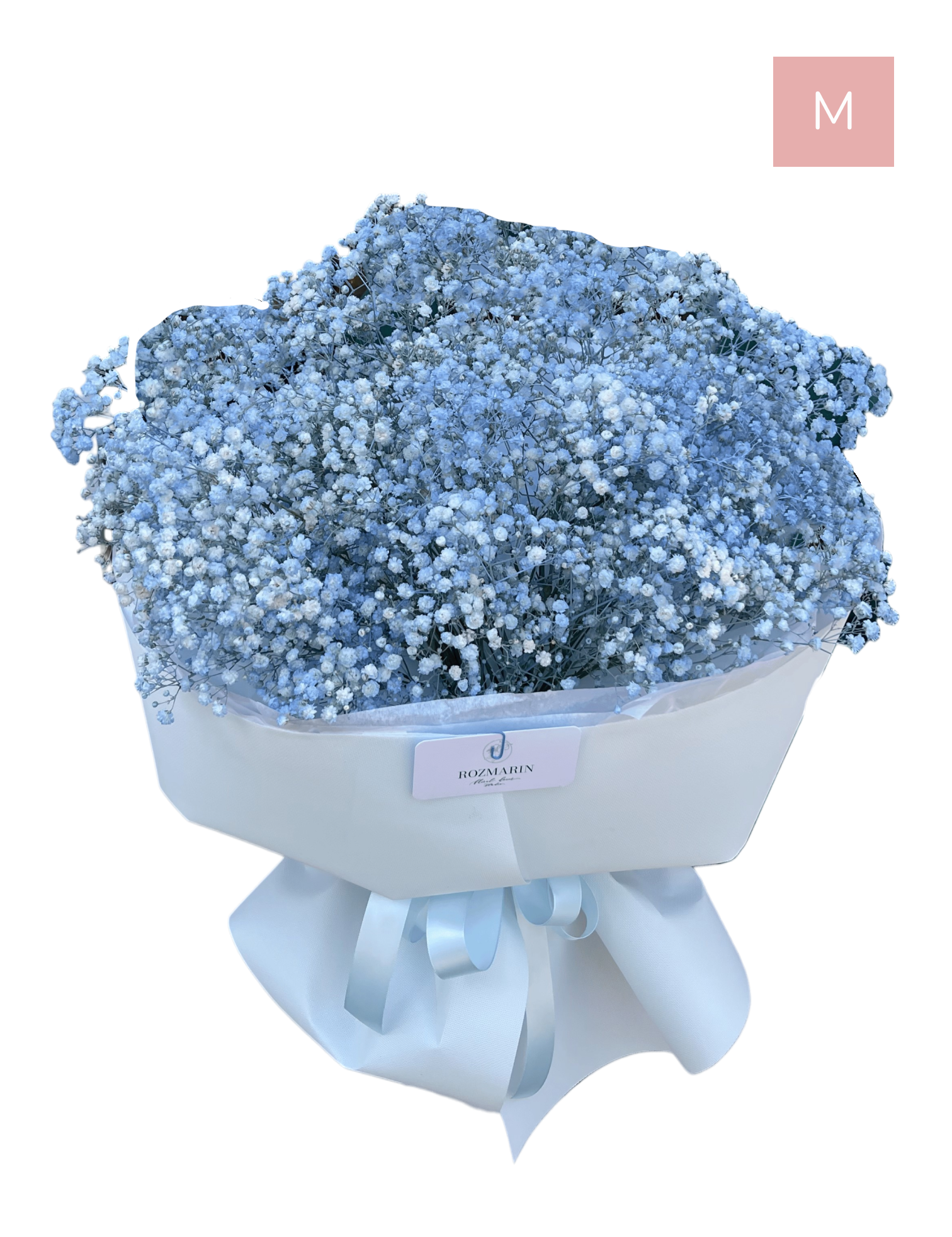 R02A R02A