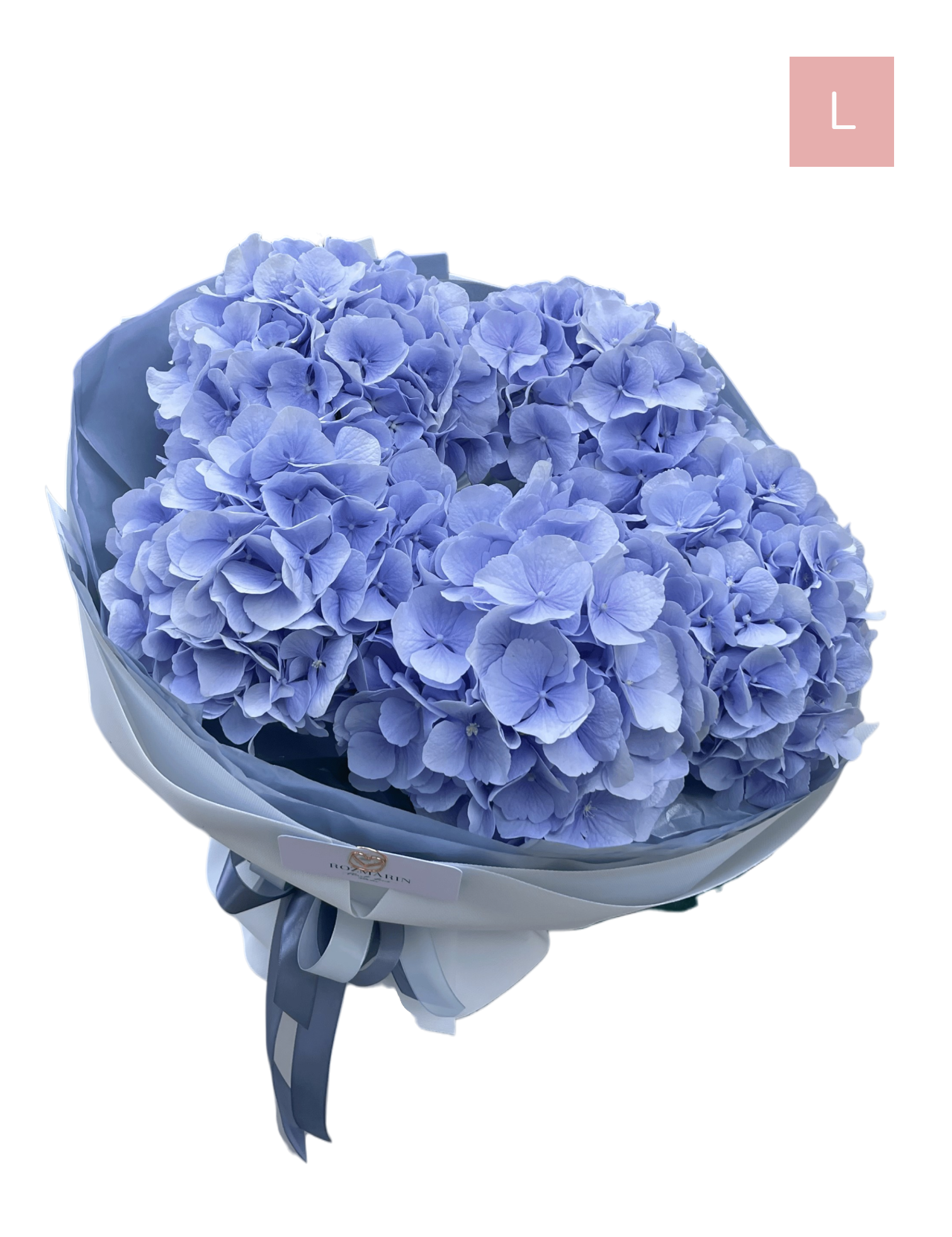 R02A (5) R02A (5)